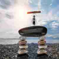 探​索​前‍沿﻿技‍术﻿领​域‌